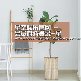 产品名称六(图1)