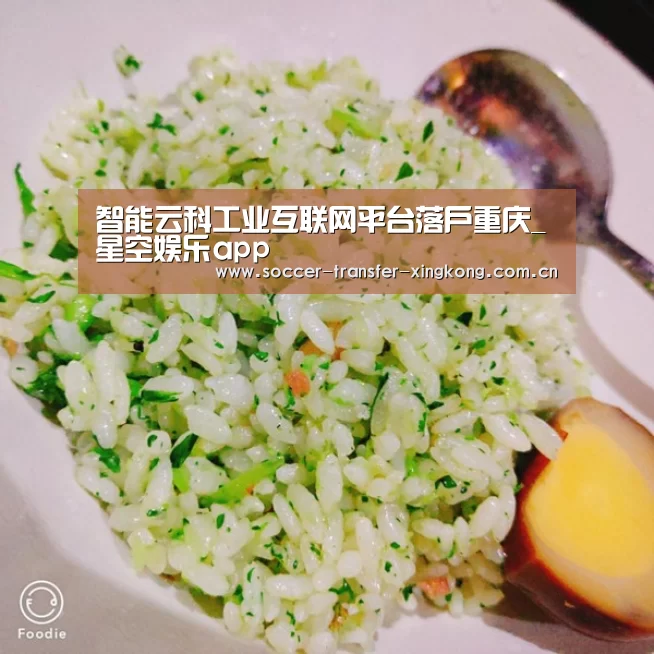 智能云科工业互联网平台落户重庆_星空娱乐app(图3) 星空娱乐