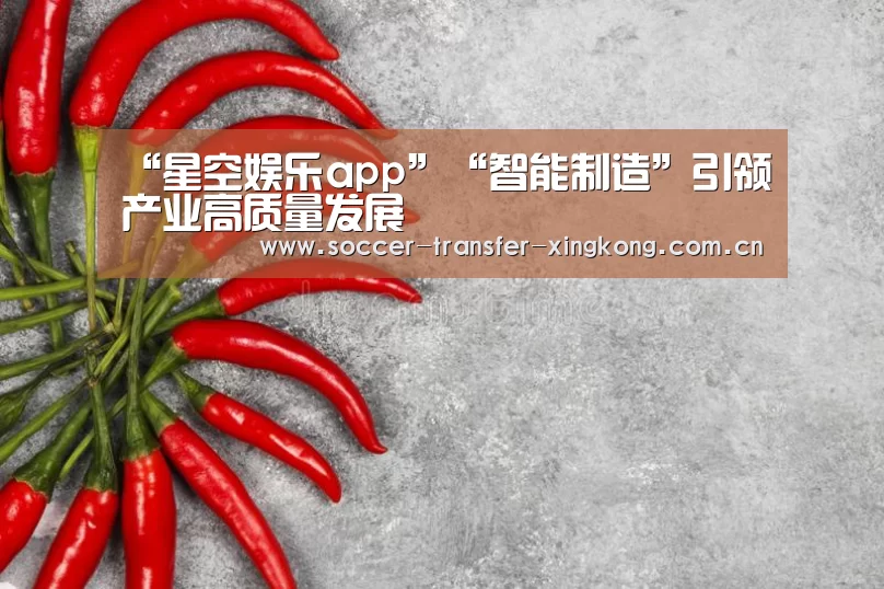 “星空娱乐app”“智能制造”引领产业高质量发展(图1) 星空娱乐app