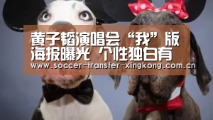星空娱乐app