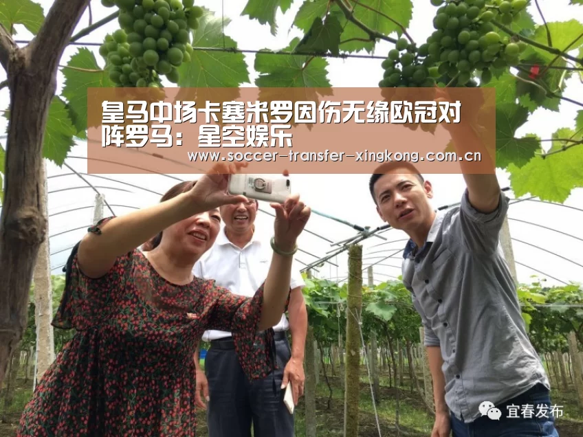 星空娱乐app