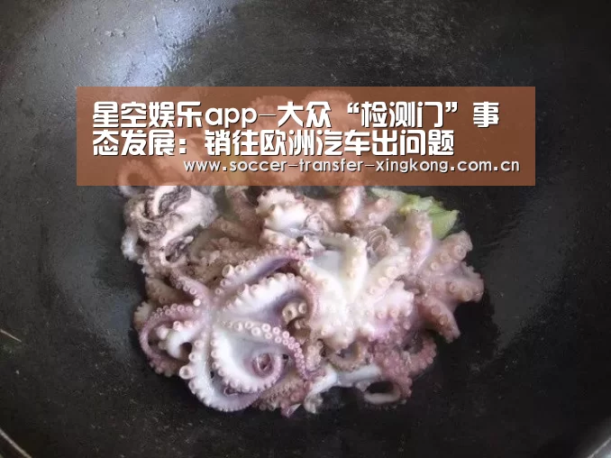 星空娱乐app-大众“检测门”事态发展:销往欧洲汽车出问题(图2) 星空娱乐网址