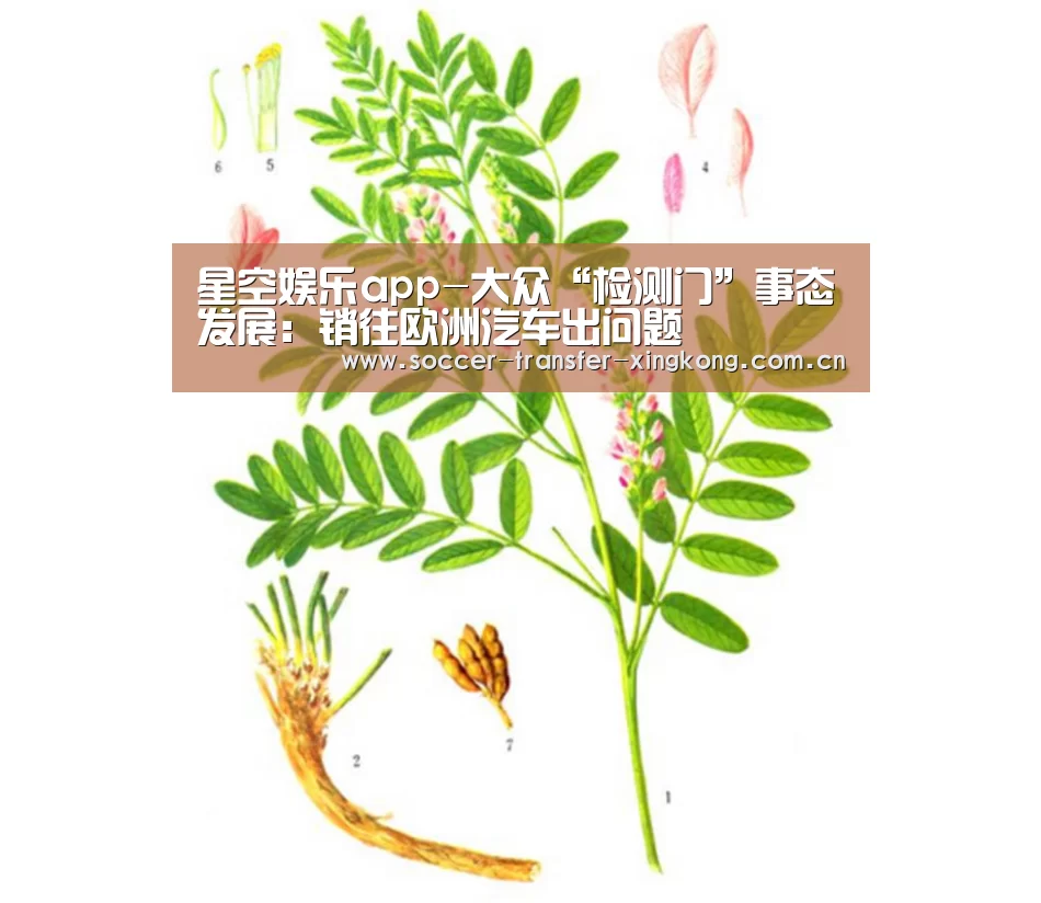 星空娱乐app-大众“检测门”事态发展:销往欧洲汽车出问题(图3) 星空娱乐网址